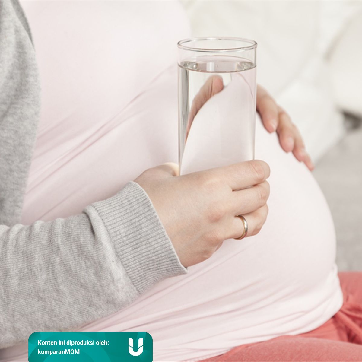 Minuman Sehat Untuk Ibu Hamil : 13 Minuman Yang Baik Untuk Ibu Hamil